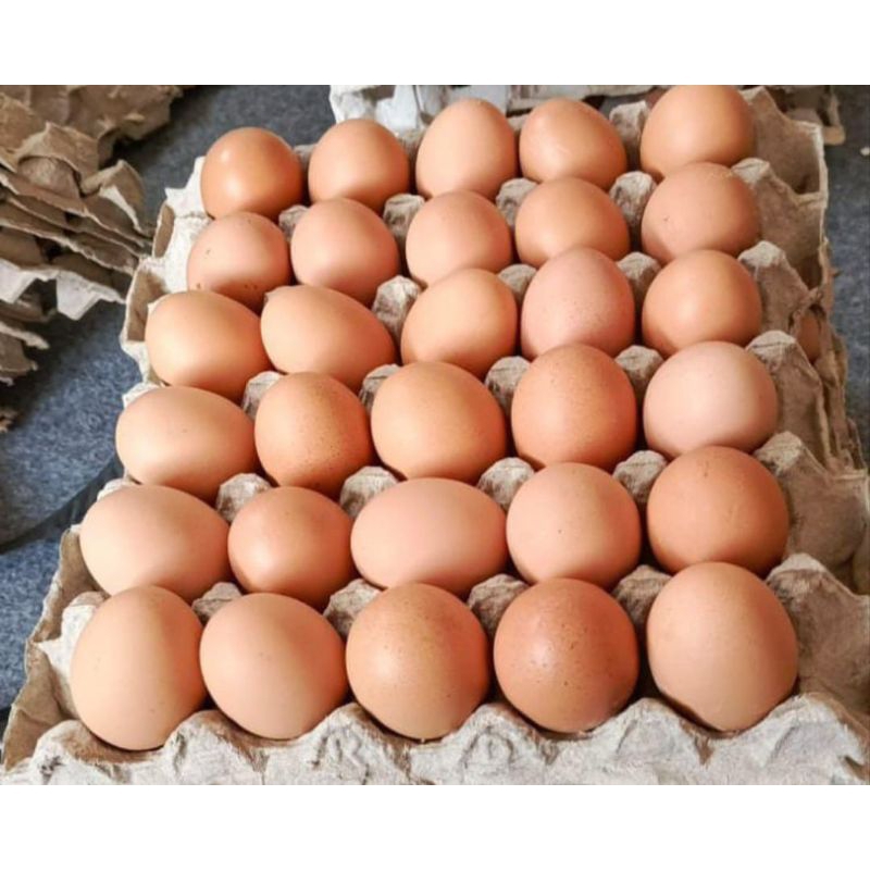 

Telur 30 butir 1,88 - 1,95kg
