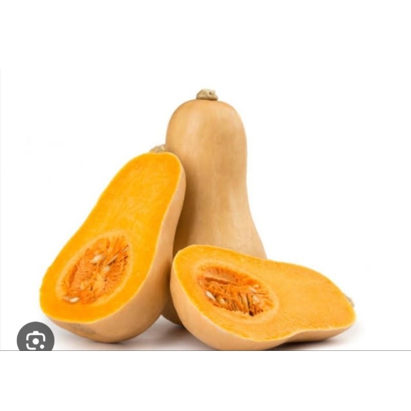 

Labu Botol - Labu Madu - Labu kuning per Buah - Pumpkin butternut