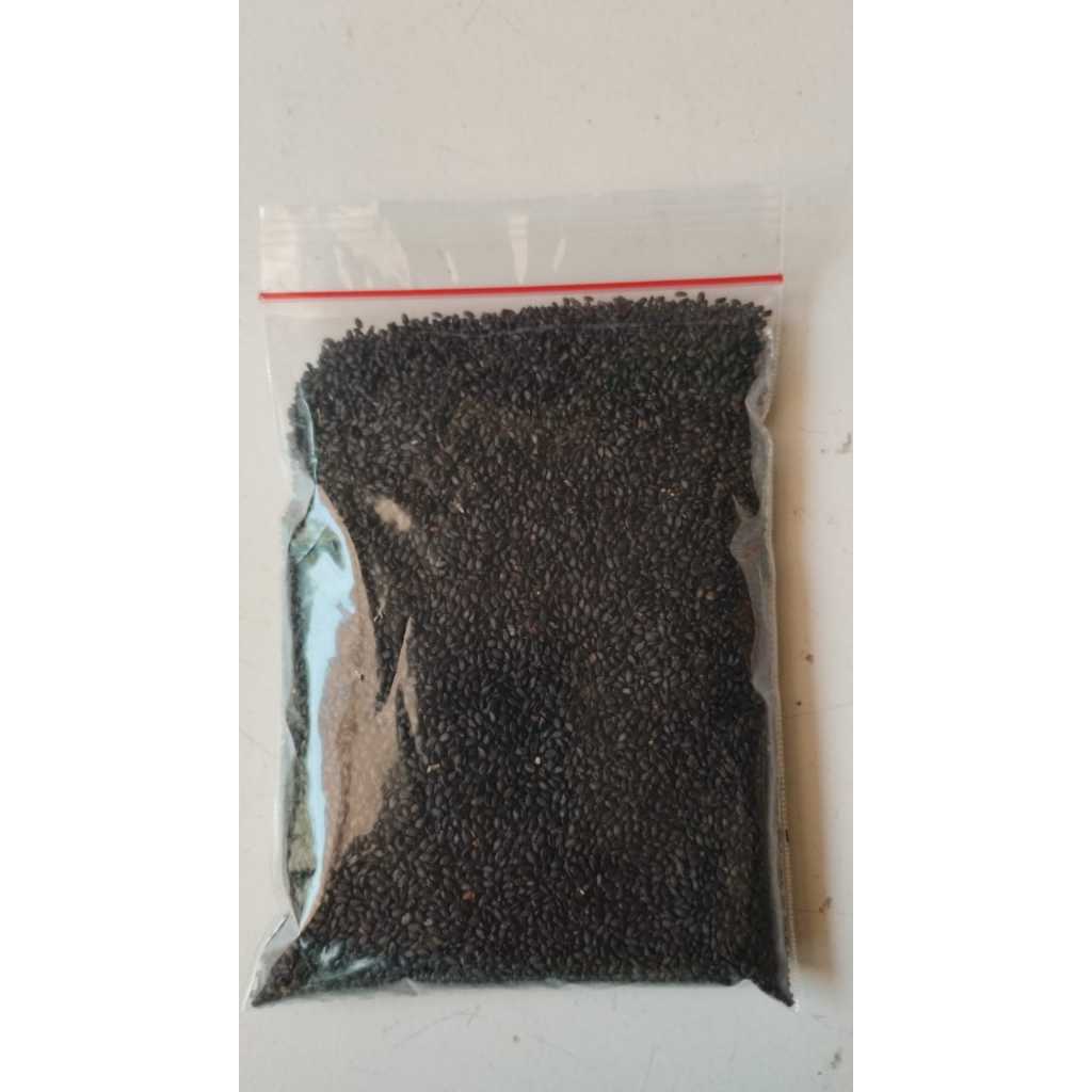 

Biji Selasih / Basil Seeds 100 Gr Rempah Bumbu Masak Dapur