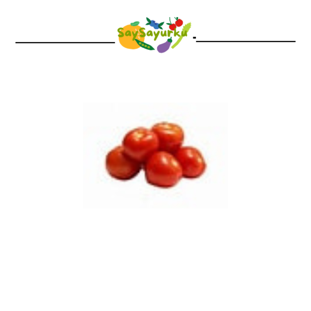 

TOMAT SAMBAL 250 GR - 1KG SURABAYA