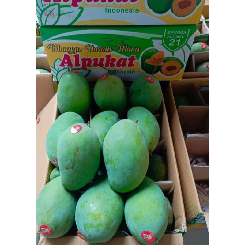 

mangga alpukat 1 dus isi 5kg