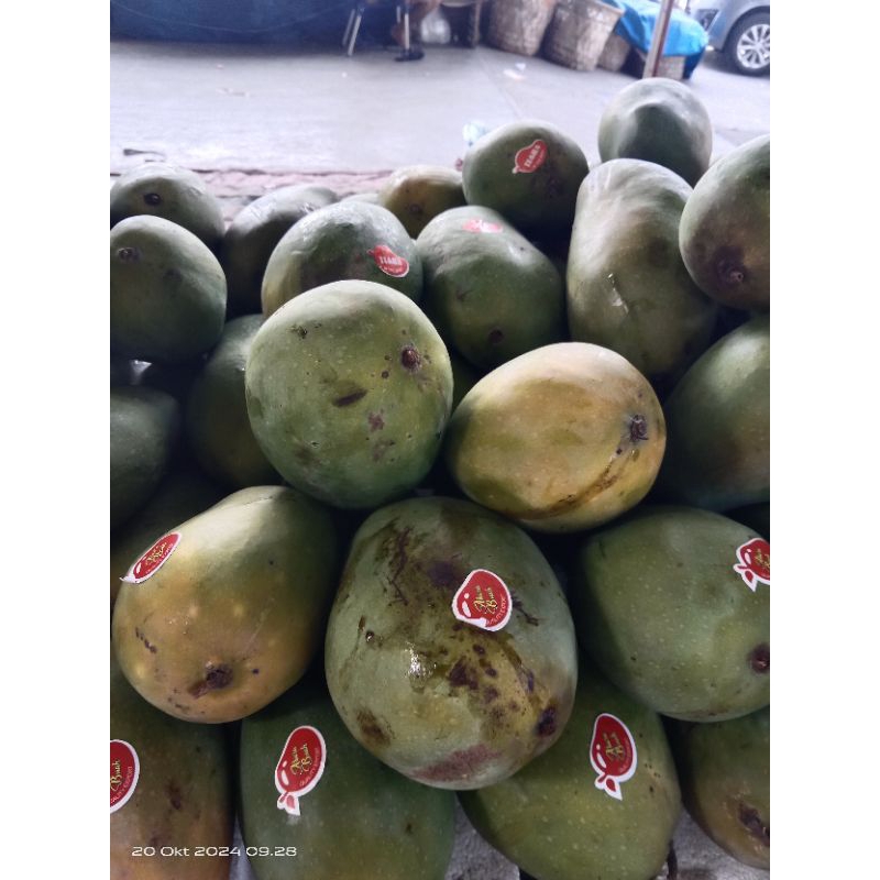 

Mangga alpukat 1 kg
