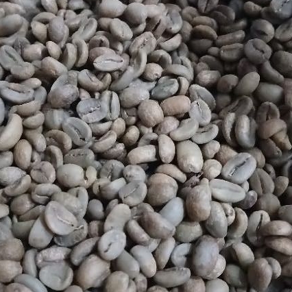 

BIJI KOPI ARABICA/GREENBEAN ARABICA HONEY GRADE B+