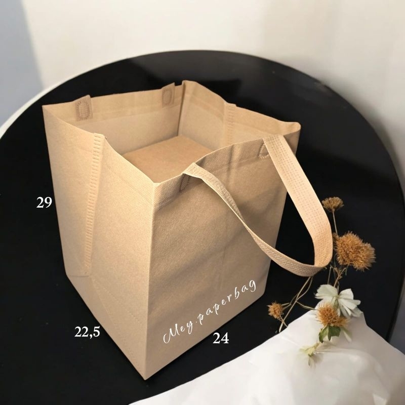 

ISI 12 (1Lusin) Tas Kain Spunbond Polos Uk 24x22x29