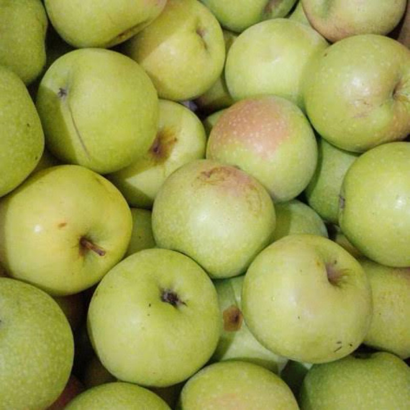 

INDUKAN APEL MANALAGI FULL MEDIA