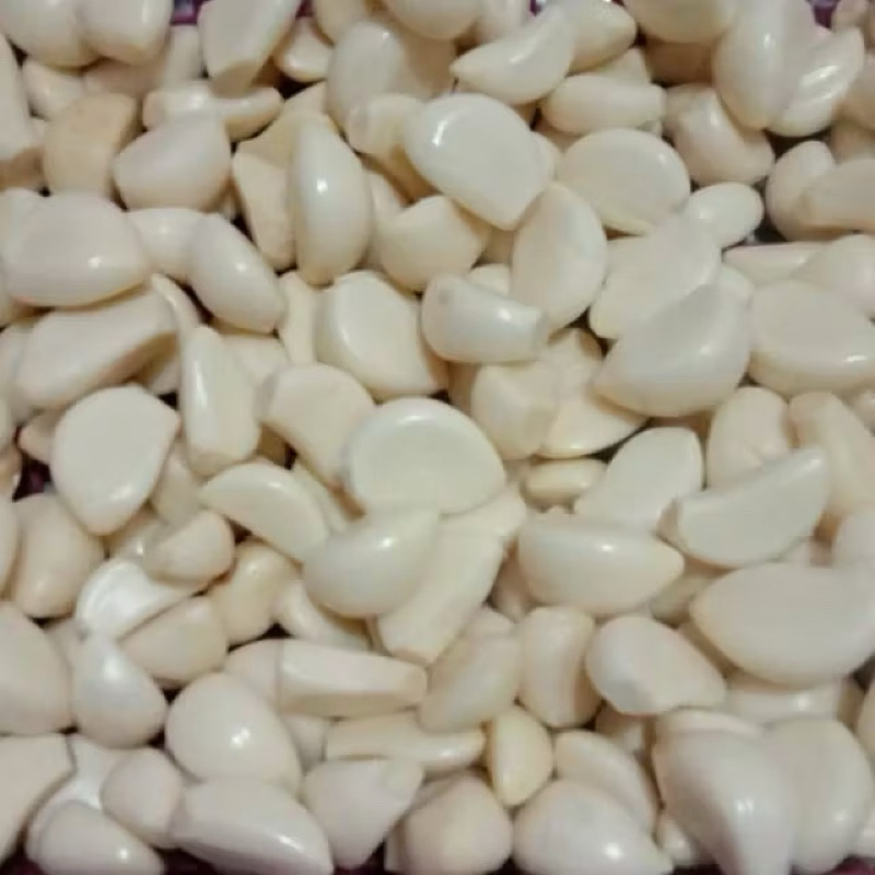 

Bawang putih kupas kiloan