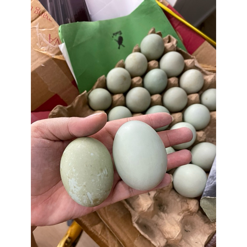 

TELUR BEBEK OMEGA (Kuning telur warna oren, lebih bergizi dan penuh nutrisi)