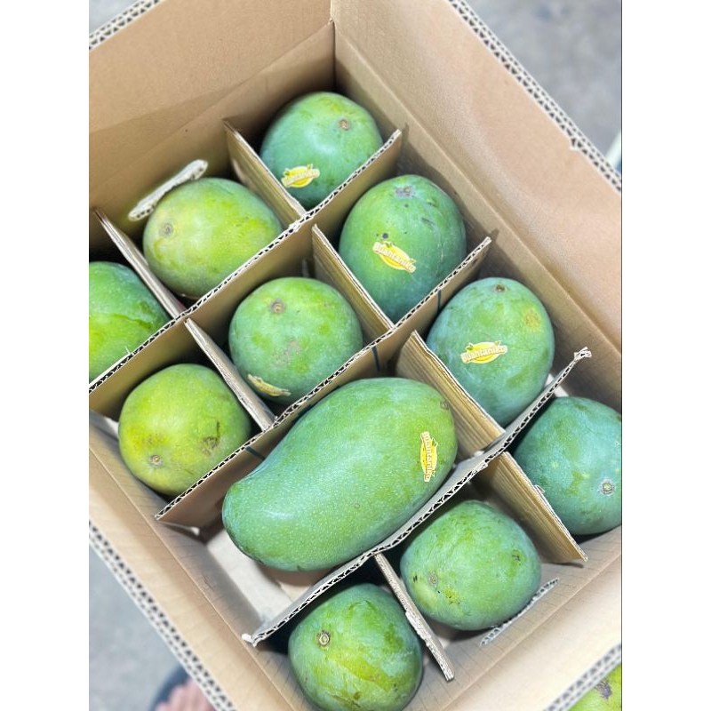 

1 KG REGULER Buah mangga harum manis BERGARANSI buahtaniku