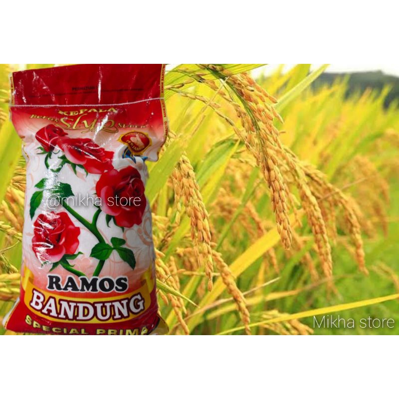 

Beras bunga bandung super 20 kg - free ongkir