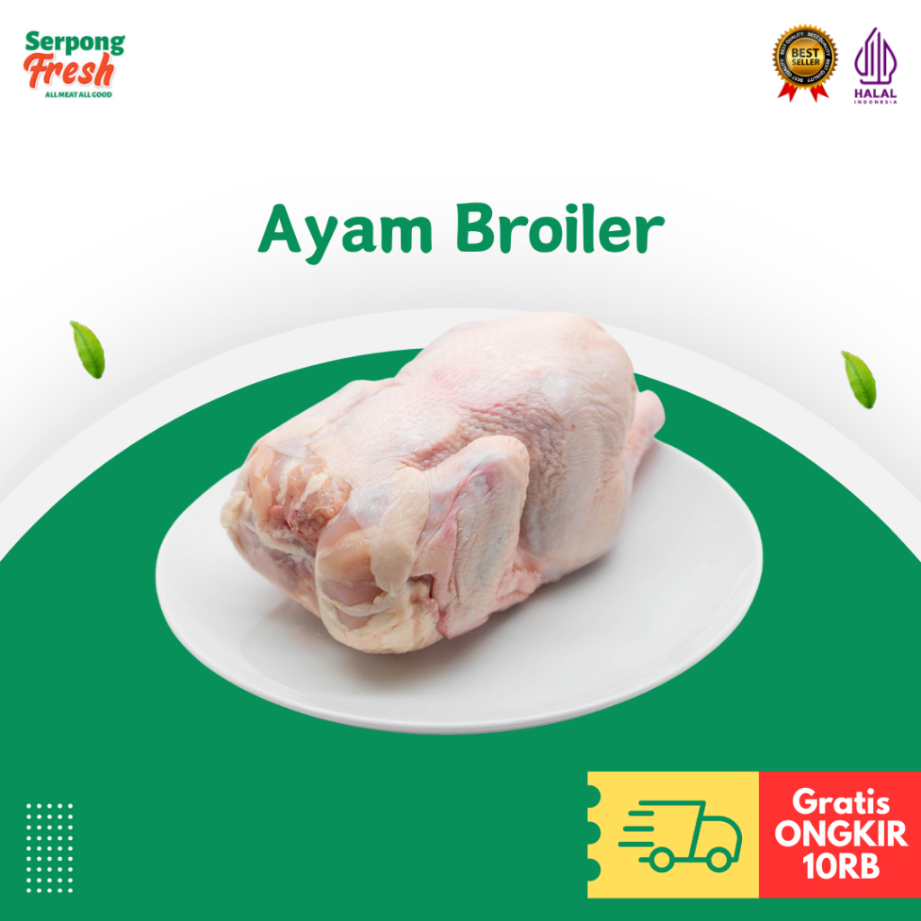 

Aneka Ayam Broiler Negeri Kampung Pejantan Frozen Utuh Berbagai Ukuran