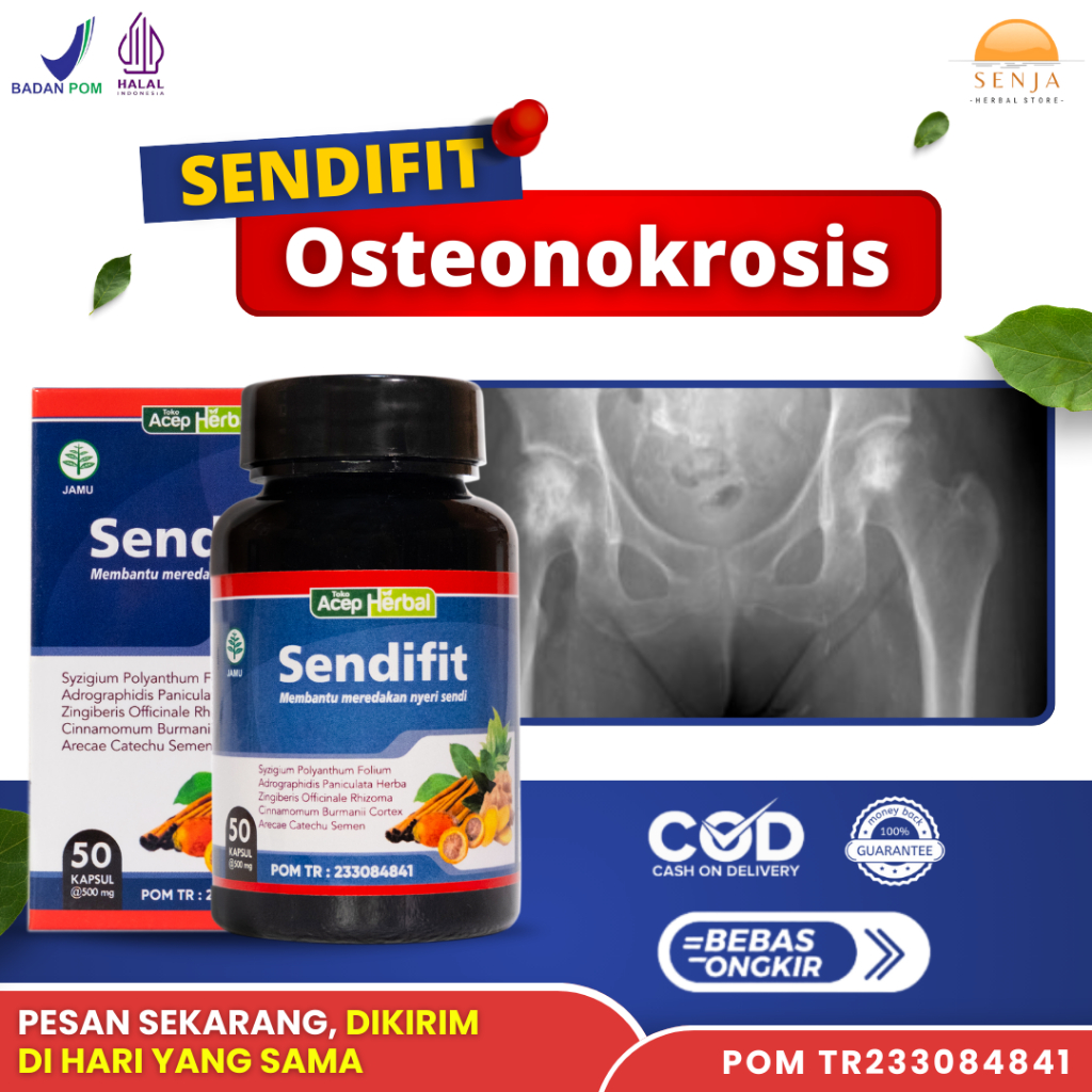Obat Herbal Osteonekrosis, Obat Avascular Necrosis, Obat Nyeri Bokong, Selangkangan | SENDIFIT