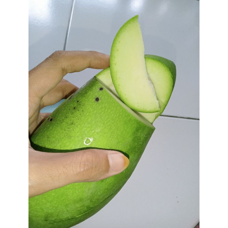 

MANGGA MUDA KIOJAY SEKILO ISI 2 TANPA BUMBU