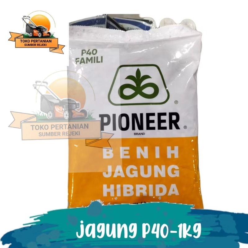 Benih Jagung Pioneer P40 family 1kg