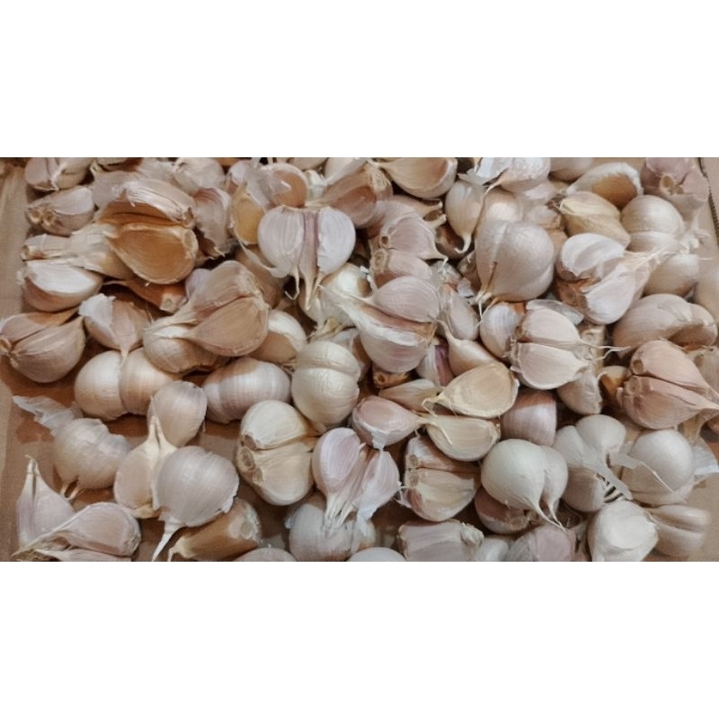 

Bawang putih kating & biasa besar 250 gr