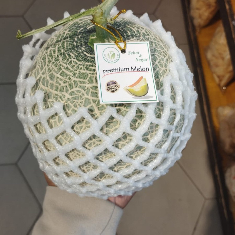 Melon jepang sagami| buah melon bibit jepang manis sagami pcs