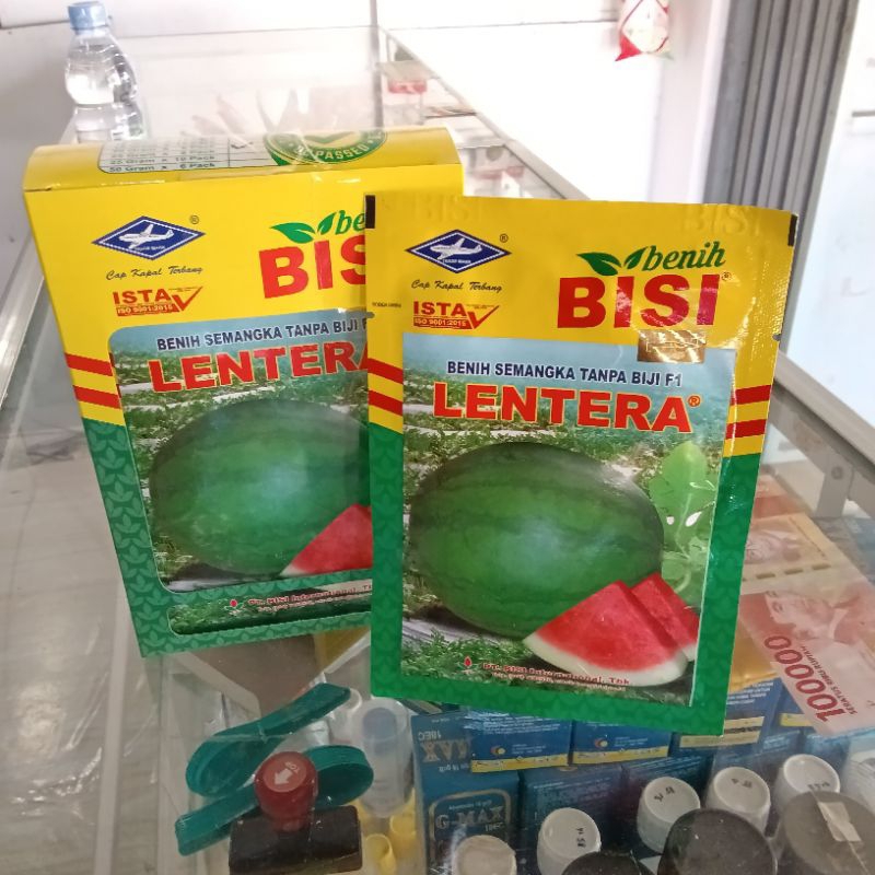 Benih Bibit Semangka Non Biji Jumbo Lentera F1 (Cap Kapal Terbang) isi 20 Gram Kadaluarsa 2026 Terba