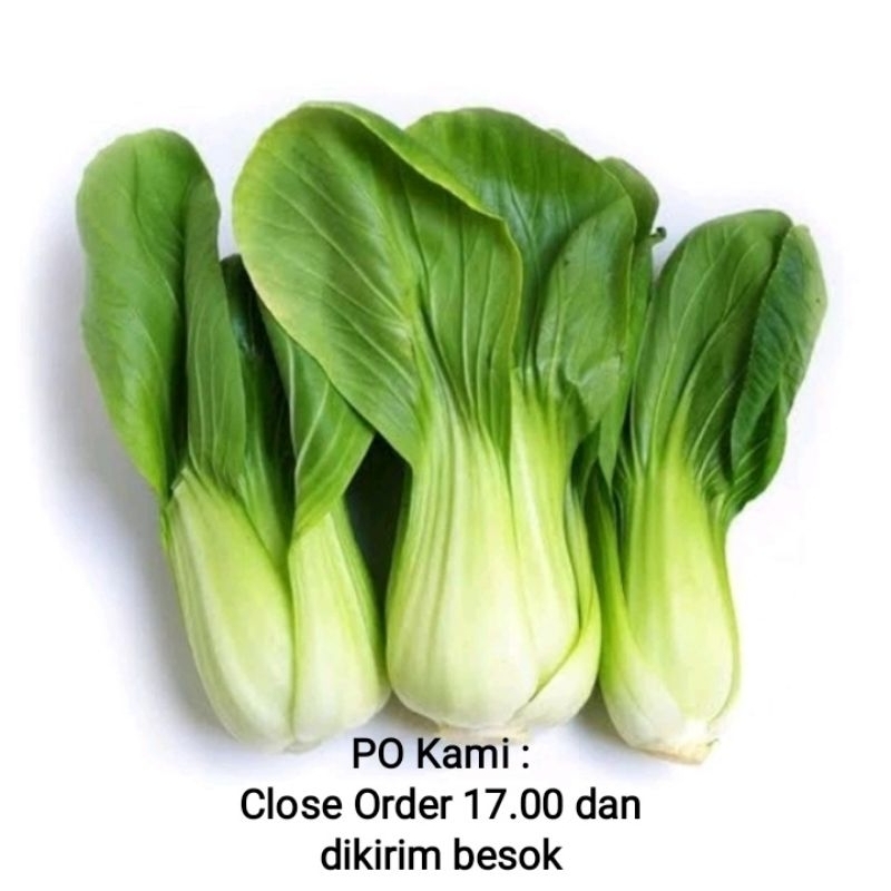 

Pakchoy Organik 200g