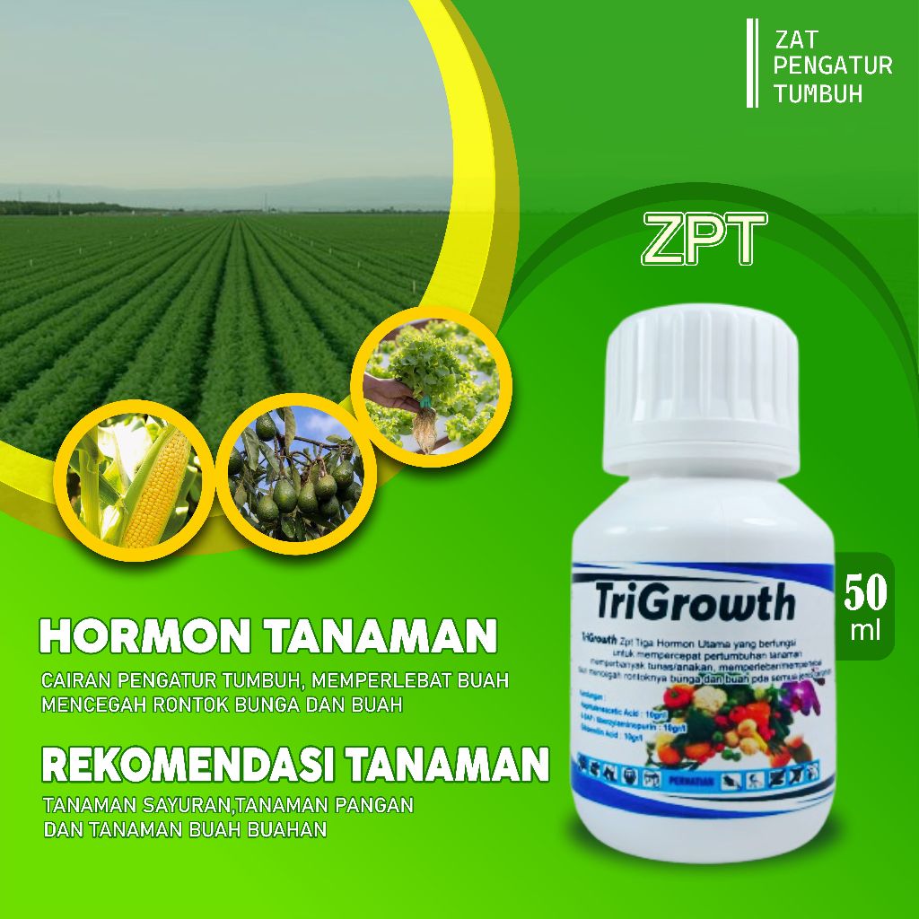 Pupuk Cair Perangsang Buah Penyubur Tanaman