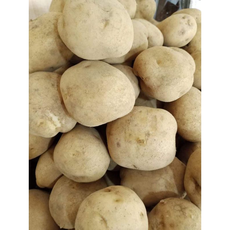 

Kentang Sedang AB/Besar AL 500gr