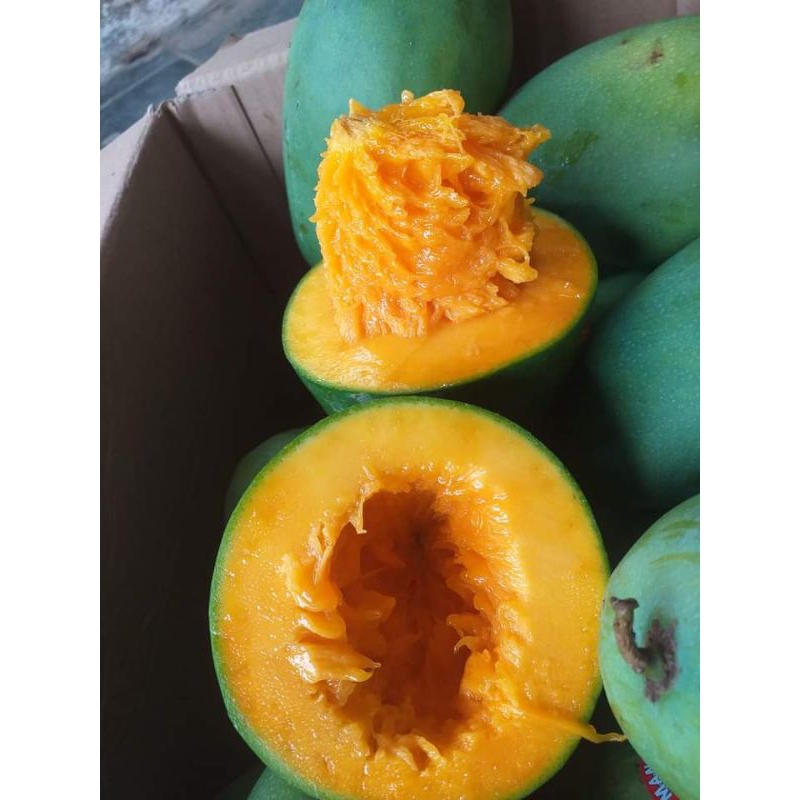 

Mangga Harum Manis 400 gram - 450 gram