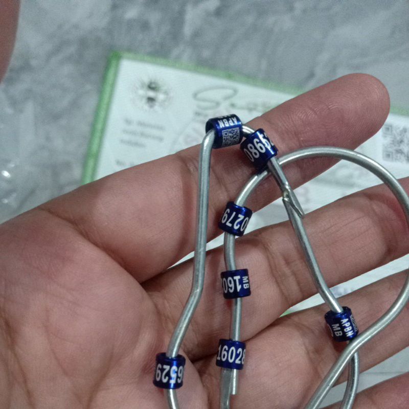 Ring APBN murai batu original (Ring saja)