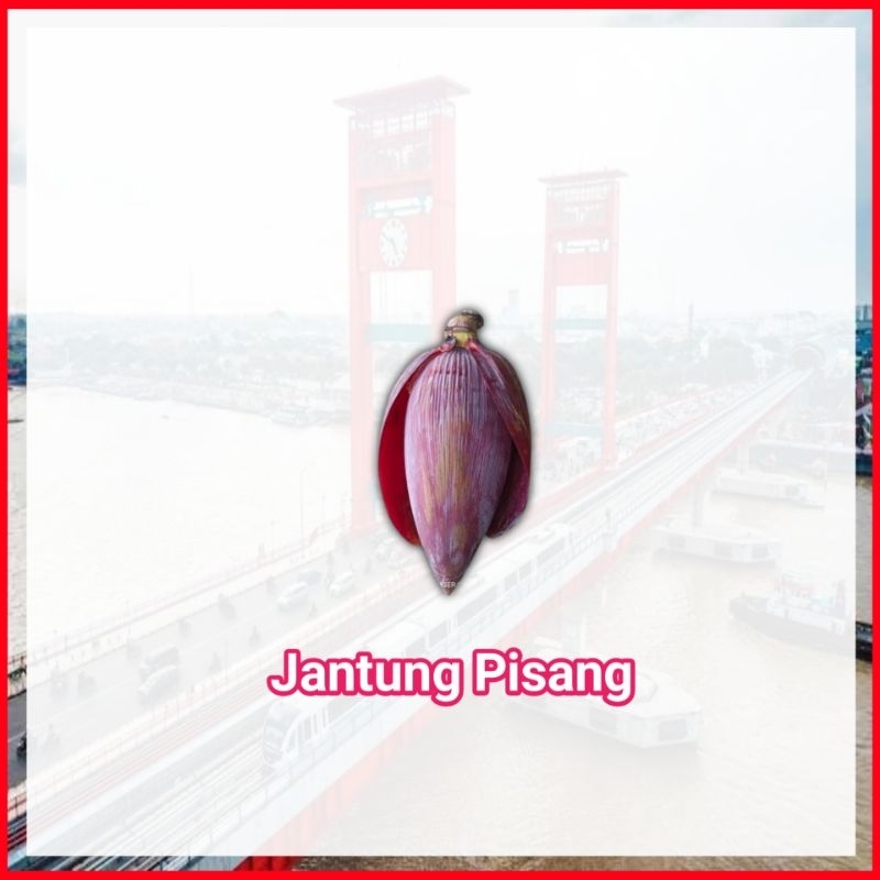 

Jantung Pisang Kepok 1 Pcs