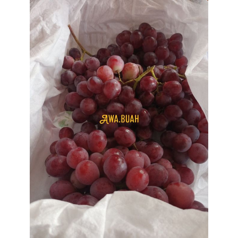 

anggur red 500gr.