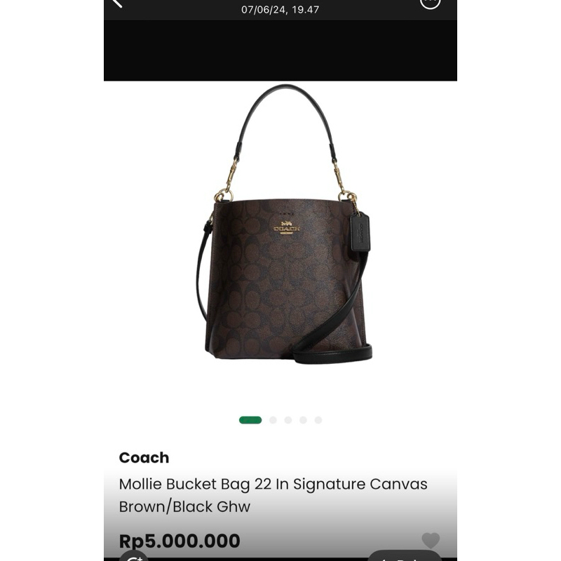 PRELOVED - Coach mollie bucket bag 22 (ORI)