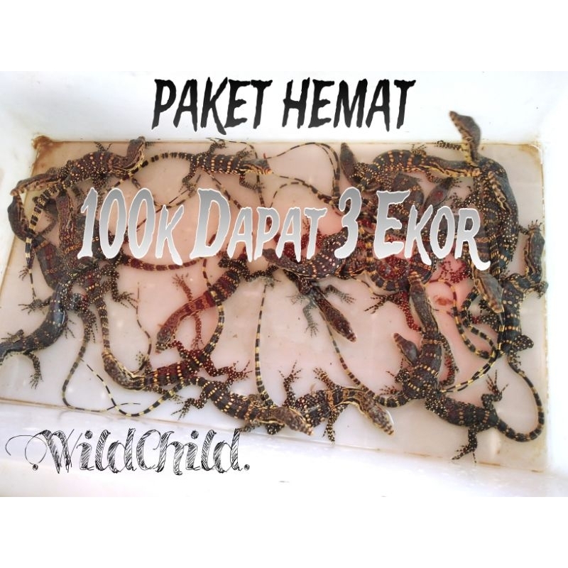 

Gambar logo salva 100k dapat 3 pcs