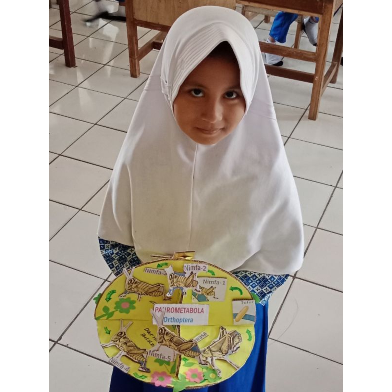 miniatur siklus hidup hewan