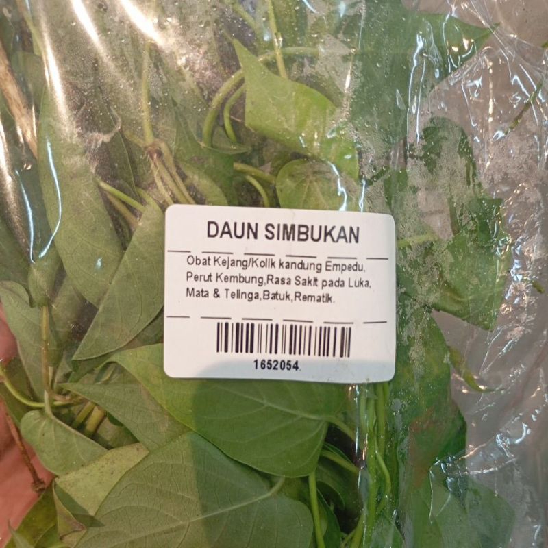 

Daun Simbukan Segar Fresh