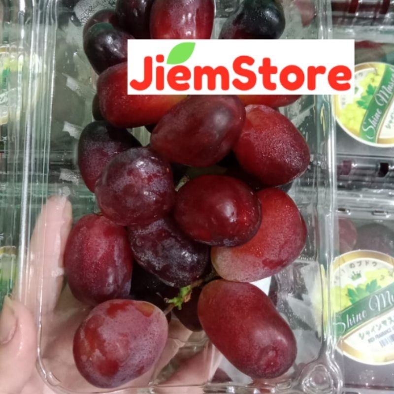 

Red Shine Muscat Buah Anggur Seedless Fresh Fruit Buah Segar