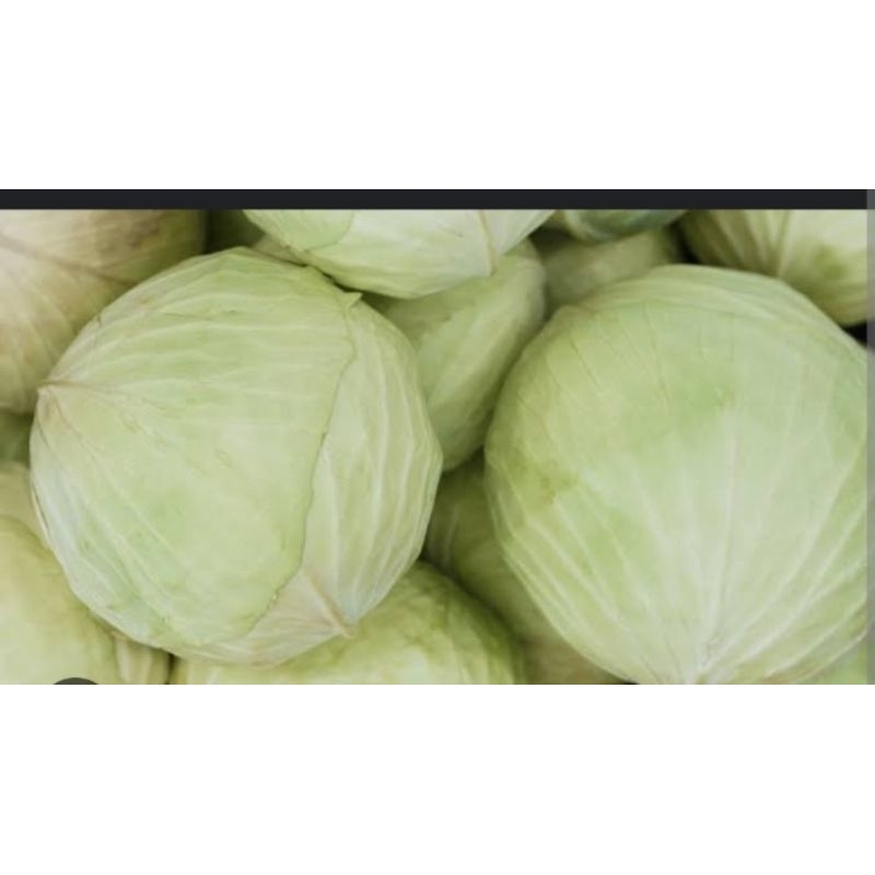 

sayur kol