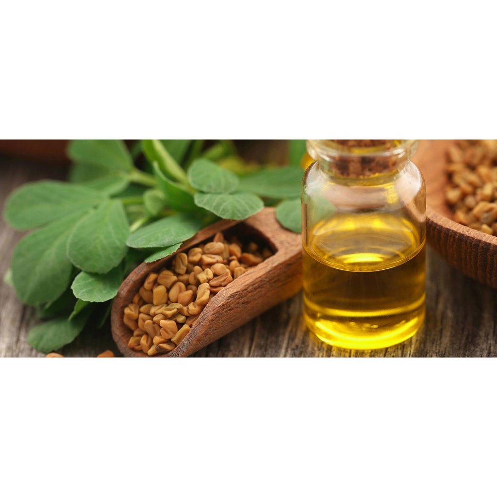 Fenugreek Oil Minyak Klabet Minyak Hulbah Methi Oil Methi seeds