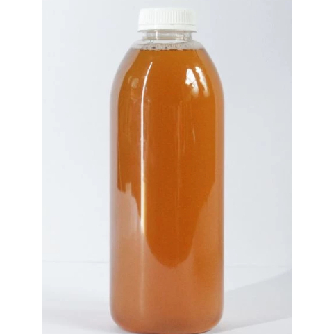 

Air Starter Bibit Jamur Penghasil Scoby Kombucha