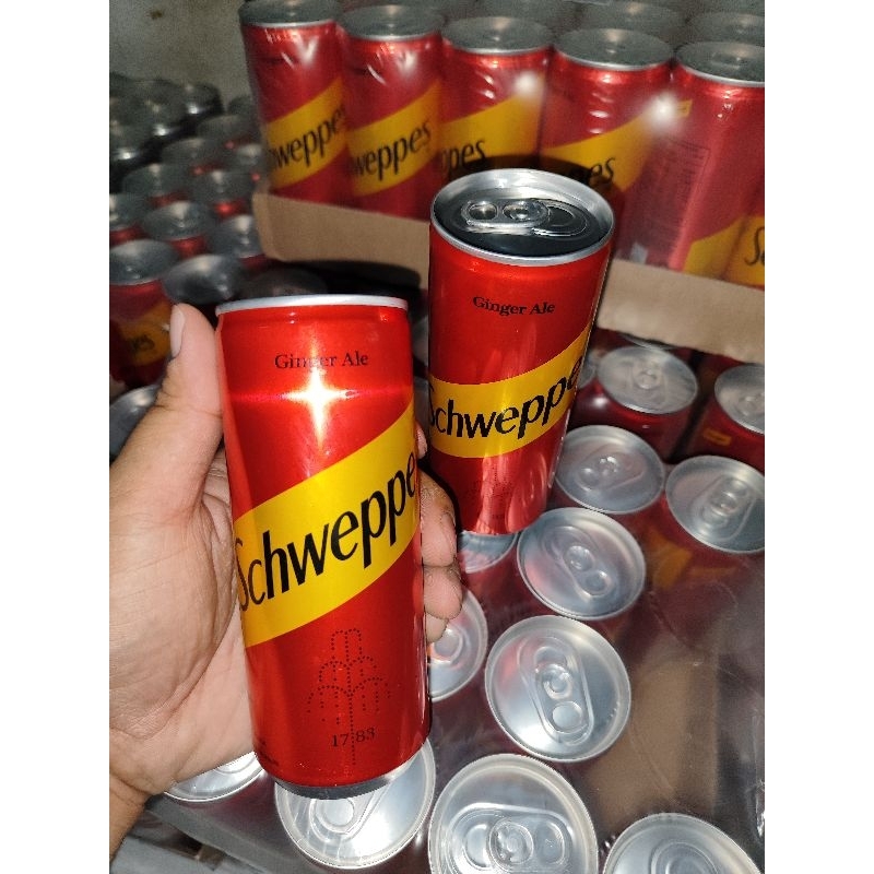 

SCHWEPPES GINGER ALE 250ML