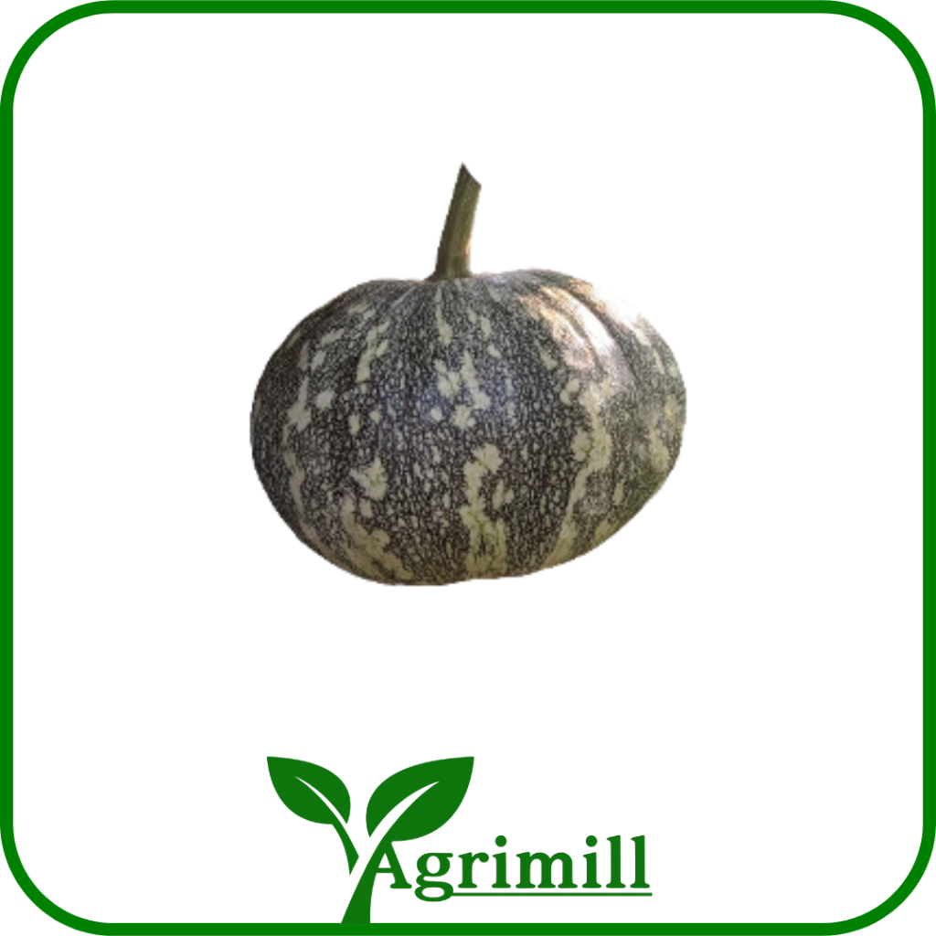 

Labu Hijau | Laboca Hijau