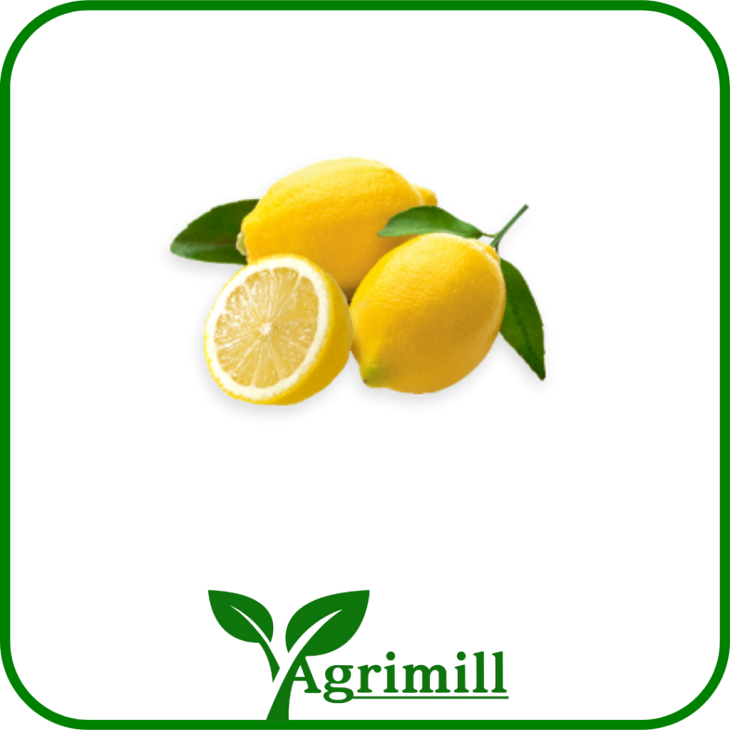 

Jeruk Lemon Segar