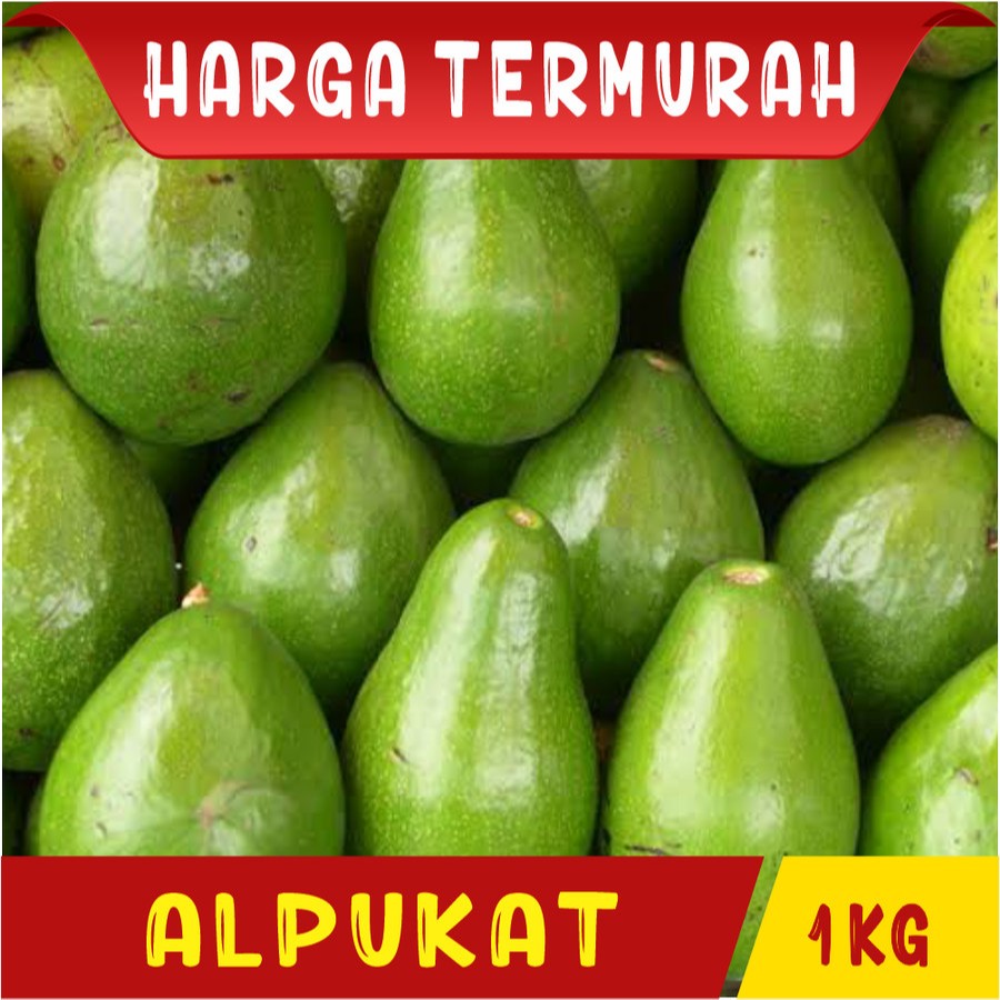 

ALPUKAT MENTEGA FRESH SUPER DAN BERKUALITAS