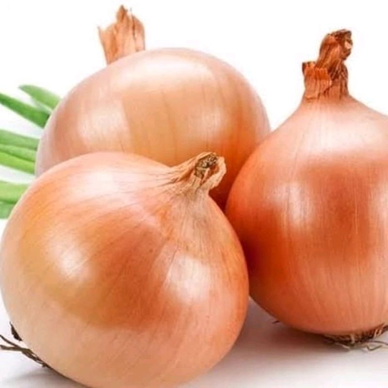 

BAWANG BOMBAY UKURAN JUMBO 1 KG