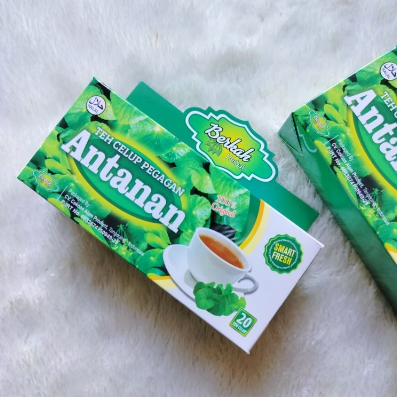

Teh Celup Pegagan | Teh Celup Anatan | Teh Herbal Kesehatan Otak