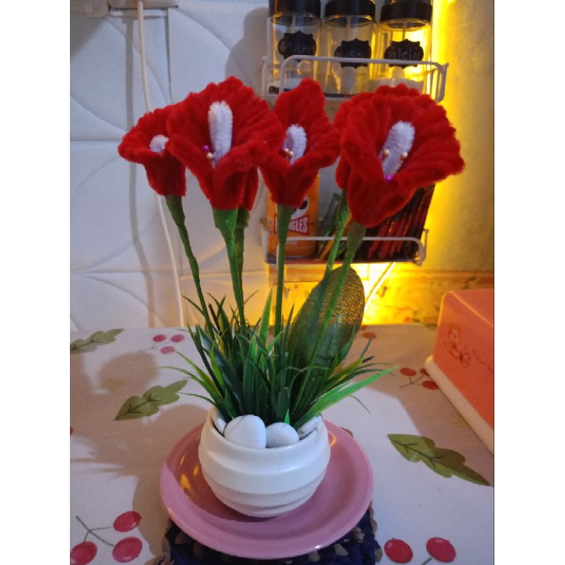 bunga lili warna merah