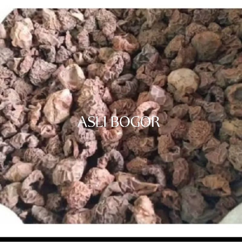 

Buah Pala Kering 100gr.. Di jemur dibawah terik matahari.