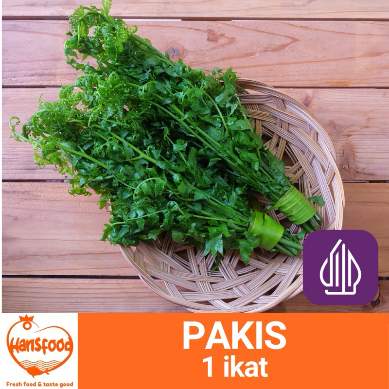 

DAUN PAKIS SEGAR PER IKAT