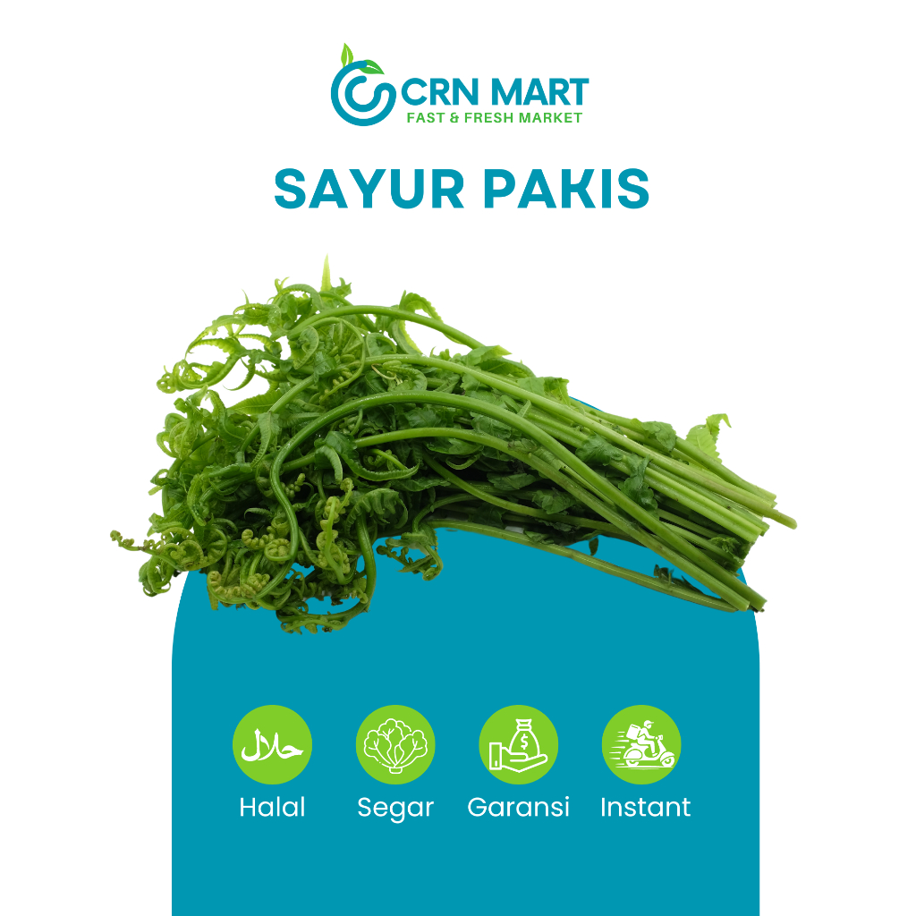 

CRN MART - Sayur Daun Pakis Segar/Sayuran Segar/Sayur Daun Paku Fresh 1 Ikat