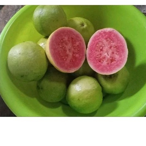 

Jambu biji merah 500g