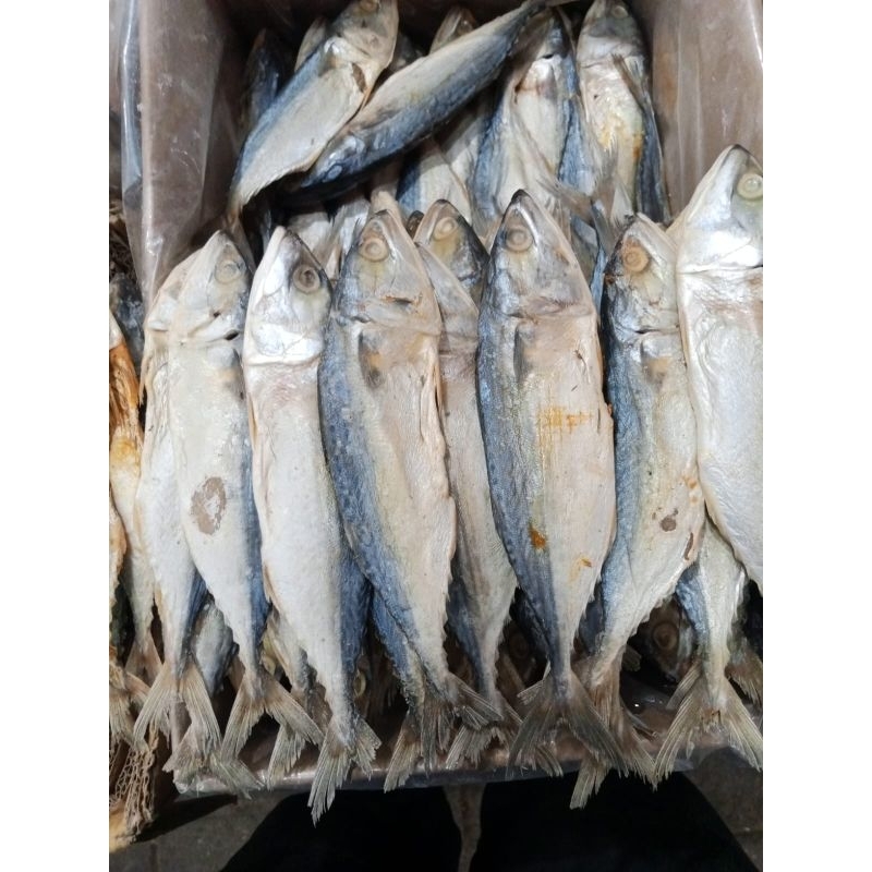 

IKAN ASIN PEDA/PEDO KERING UKURAN JUMBO ISI 8-10 EKOR/KG