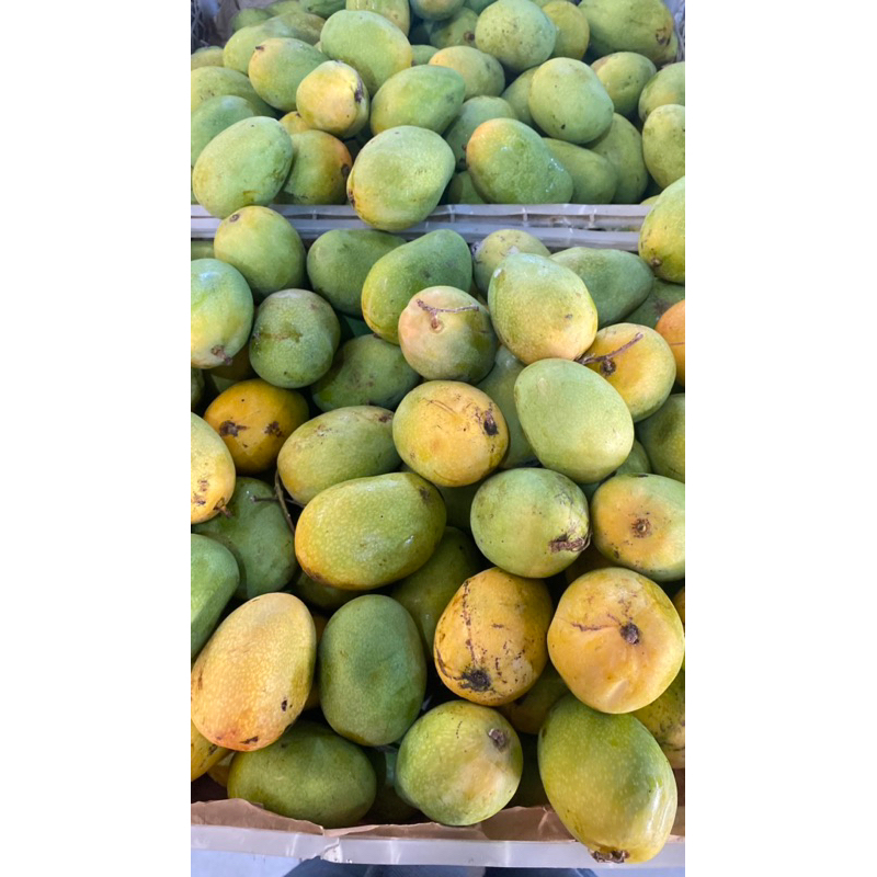 

(INSTAN) Mangga Madu Manis Segar 1kg