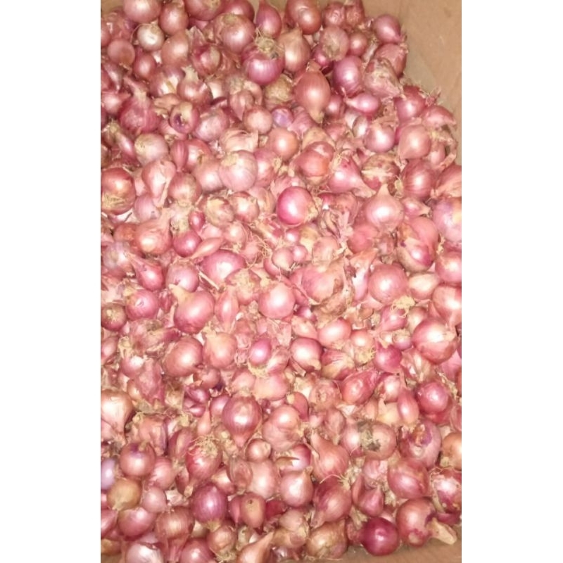 

Hanaki bumbu rempah Bawang Merah Batu