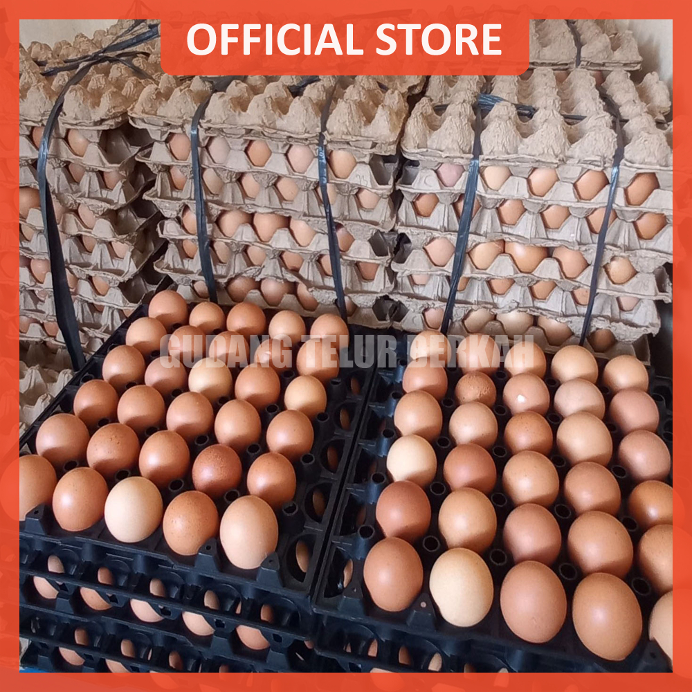 

Fresh Eggs Telur Ayam Negeri Omega 1 kg